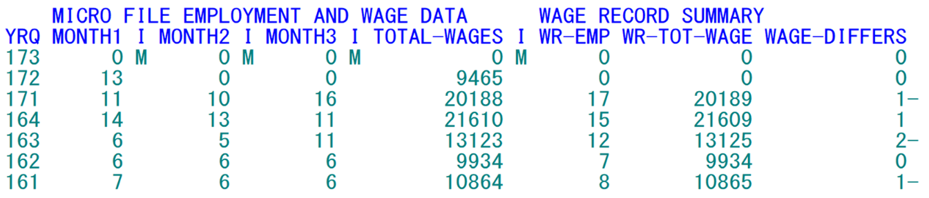Es2c - wage summary screen - lower portion.png